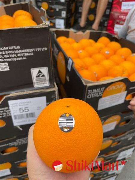 kiotviet_393c8c565f0812438962d683123813ba